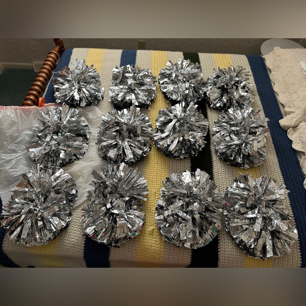 Silver Pom Poms Set of 12 (6”)